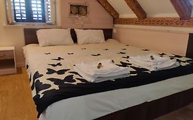 Apartman Dominus